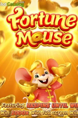 Fortune Mousse en 78MXN COM